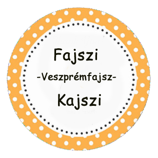 Fajszikajszi